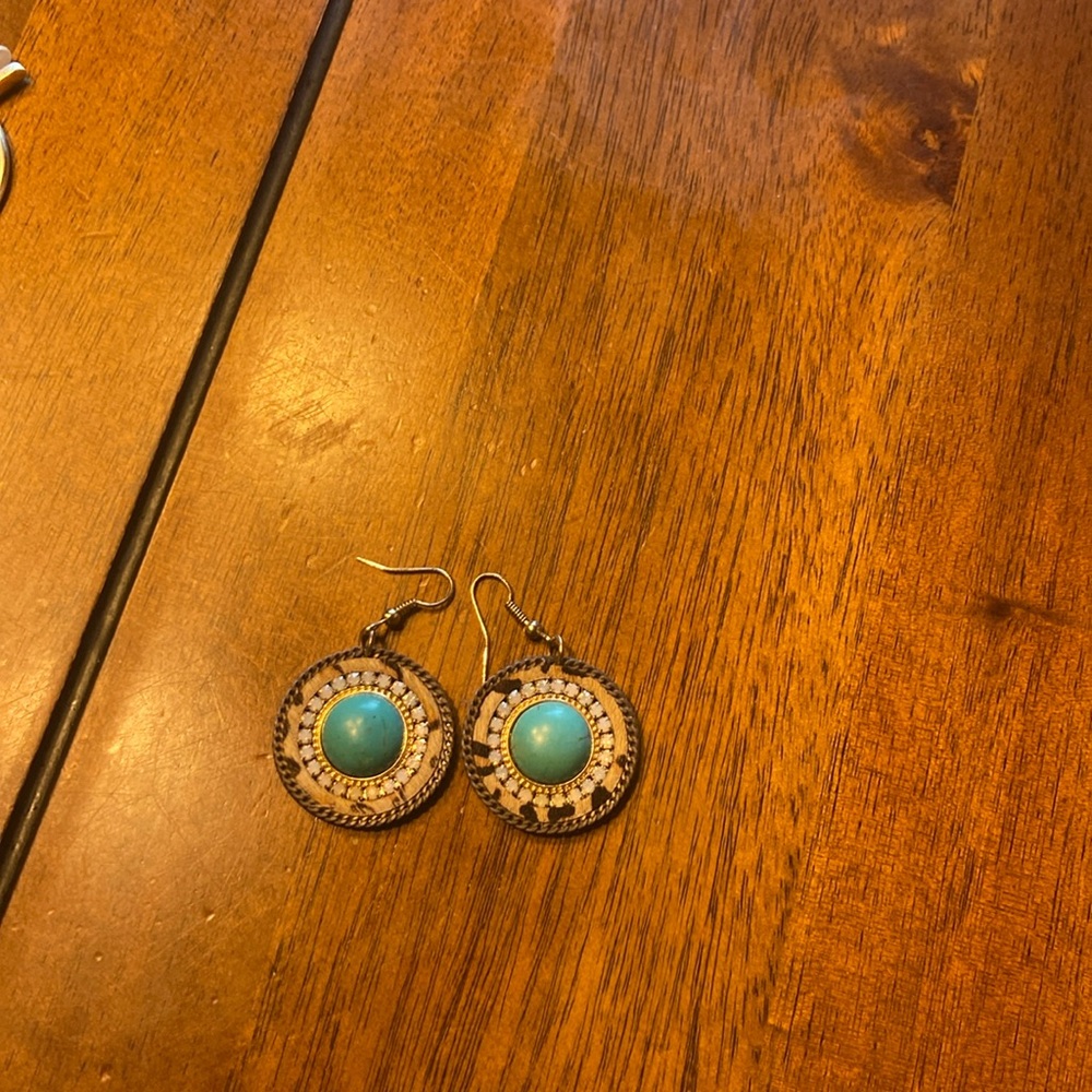 Earrings